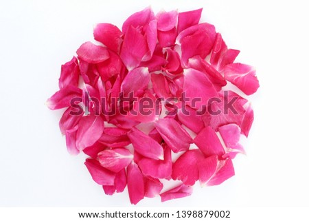 beautiful red roses petal arrangement for valentines day or love,religion,holiday related concept, top view on white background