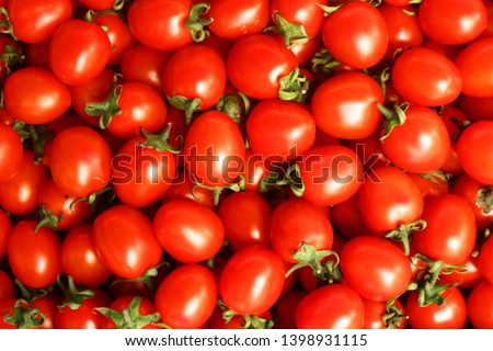 Close up picture of red cherry tomato, colorful and healthy