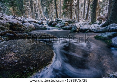 Beautiful long exposure photograph of a stream or creek in winter. Water flowing through winter, spring or autumn wood. Rocks in a river, motion blur. Hamersky potok in Sumava national park, Czechia.