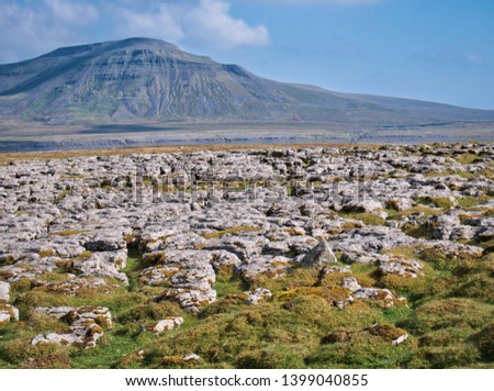 Limestone pavement - an area of limestone eroded by water - on Scales Moor in the Yorkshire Dales, UK, with Ingleborough in the background