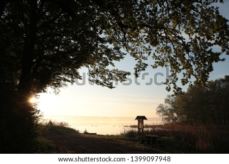 Silhouette of tree on the edge of the lake during the sunrise.