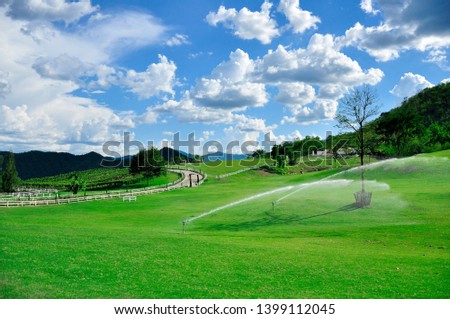 Colorful farm summer landscape, blue clear sky with sun, Vineyard, sheep, agriculture,irrigation system
