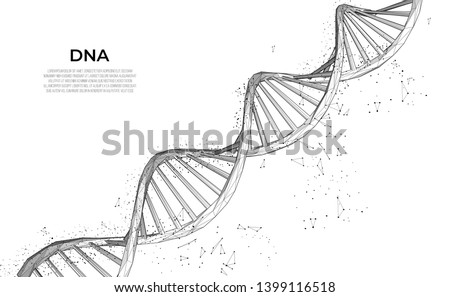 DNA. Abstract 3d polygonal wireframe DNA molecule. Medical science, genetic biotechnology, chemistry biology, gene cell concept vector illustration or background. innovation technology concept Royalty-Free Stock Photo #1399116518