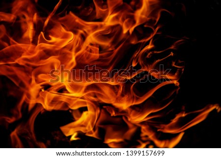 Beautiful fireplace burning wood in close up.Vibrant orange and red fire flames burn in the dark