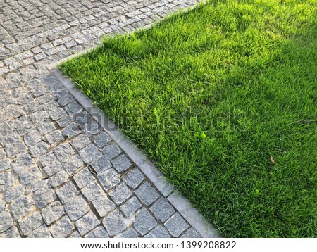 Nested pavers of various colors, around the grass, chic garden