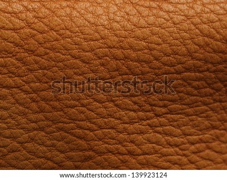 Brown texture of skin