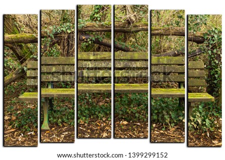 modular picture on white background . old abandoned bench in the forest .
 