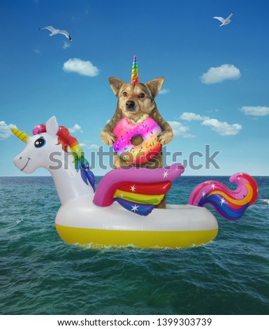 The dog unicorn eats a donut on the inflatable circle in the sea.