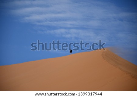 A man climbs a sand dune on a sunny morning and is exposed to a strong side wind. Photographed from behind on the famous dune 45 near Sesriem and Sossusvlei in Namibia.