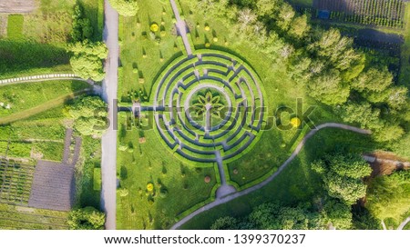 aerial view f green flower bed in the form of a maze. drone shot. natural summer spring background