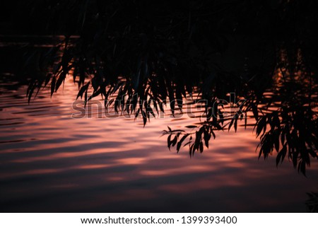 beautiful sunset reflected in the water of the lake