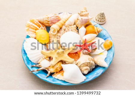 Seashells summer background. Lots of different seashells piled together in blue plate, close up