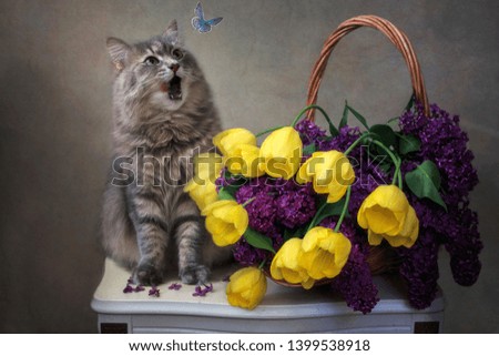 Adorable gray kitty and bouquet of flowers