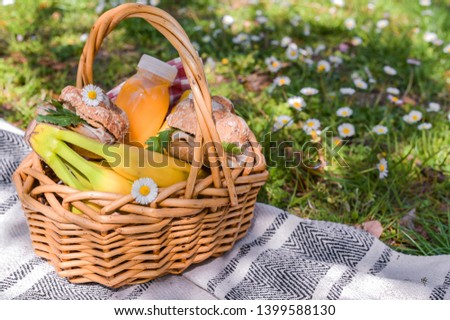 Basket with picnic food in the park. Green grass with flowers and lunch outdoors