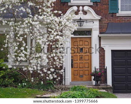 Elegant wooden front door of house with white magnolia tree  in bloom