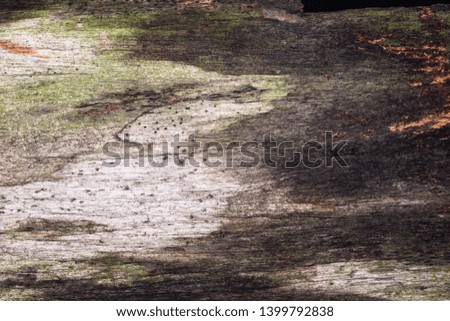 Background pattern of old wooden boards