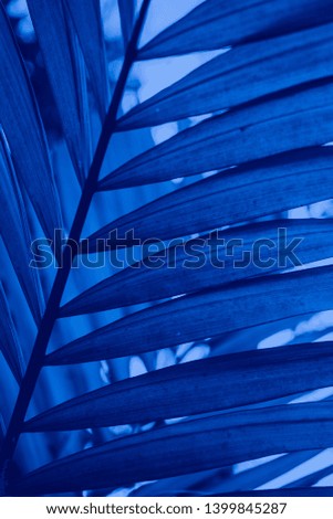 Abstract blue floral blurred background. Tropical palm leave backdrop