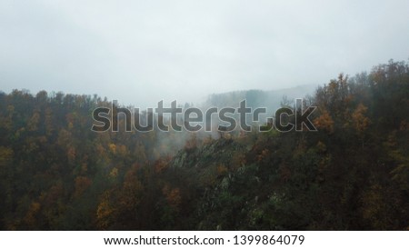 Autumn trees in the morning mist