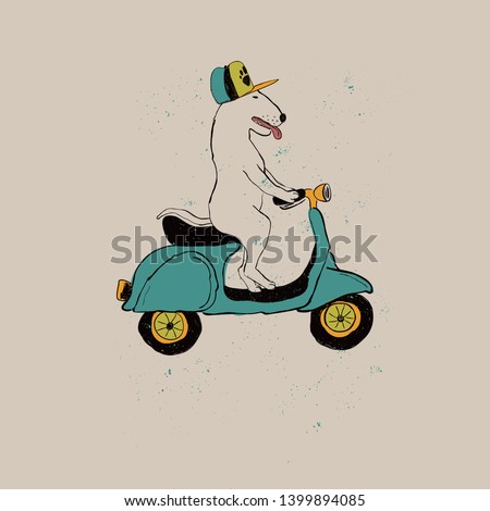 Illustration with cute Bull Terrier Dog riding motorbike. Funny greeting card, t-shirt design, print, sticker or poster.