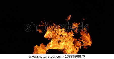 An awesome picture of a fire that appears to be a horse ?!
