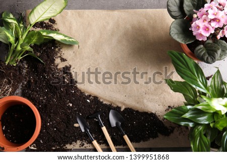 Flat lay composition with pots, home plants and gardening tools on grey background. Space for text