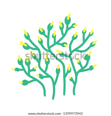 Sea coral illustration isolated on white background. Green cartoon seaweed. Vector