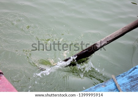 Oar immersed in water -Rowing Boat Oar in water