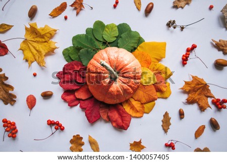 Pumpkin on a beautiful autumn background with colorful leaves, rowan and acorns.