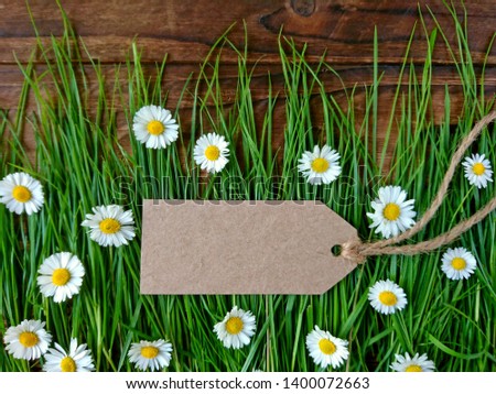 Sale price reduction tag for discount on spring grass & daisy flowers background. Summer sale advertising discount promotion concept. Spring discount sale tag on green lawn. Spring price label sticker