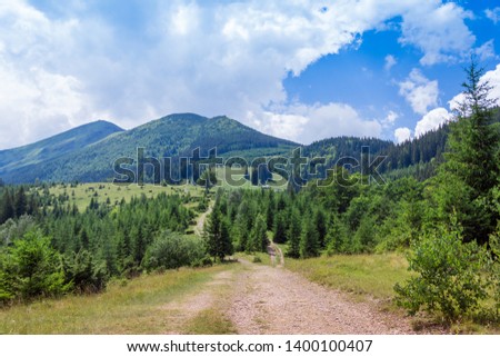 landscape consisting of a Carpathians mountains with footpath on a foreground and fir-trees with cloudy sky on the background