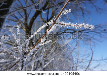 This picture shows a beautiful scenery in a winter forest.