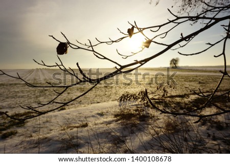This picture shows beautiful winter landscape with a sunset.