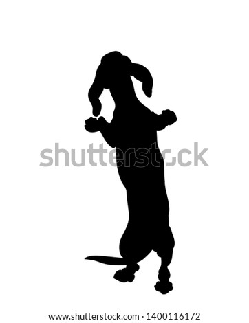 dog stands, silhouette, vector, white background