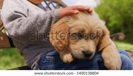 Close up of little girl is sitting on the bench in the park and cuddling a puppy of golden retriever dog.