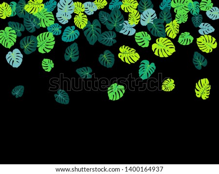 Teal tropical jungle leaves vector scatter. Philodendron or monstera plant summer background. Exotic jungle plants tropical foliage pattern. Floral design with monstera leaves on black.