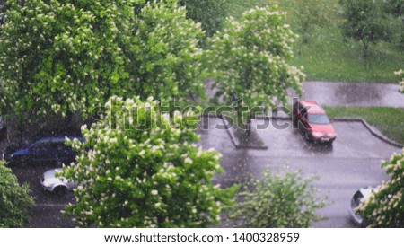 Street in the heavy rain. blurred blooming chestnuts on background. city traffic and parking.