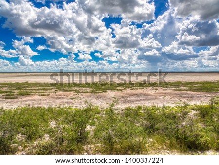 Landscape picture of the large salt pan at the Etosha Nationalpark  in northern Namibia during summer