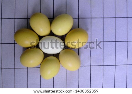 Colorful eight eggs on fabric pattern, Raw eight eggs on the fabric pattern,  Eight eggs in flower pattern put on fabric