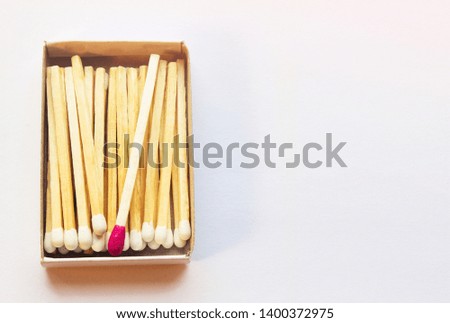 White matches and one match of crimson color in a box. Self respect and yourself acceptance concept. Copyspace on the right side of the image for designers. Uniqueness and black sheep concept.