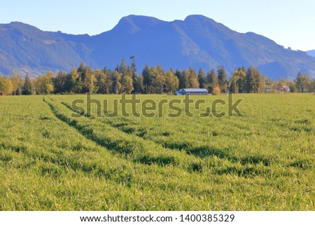 Wide view of a beautiful springtime landscape set in the British Columbia countryside during the springtime. 