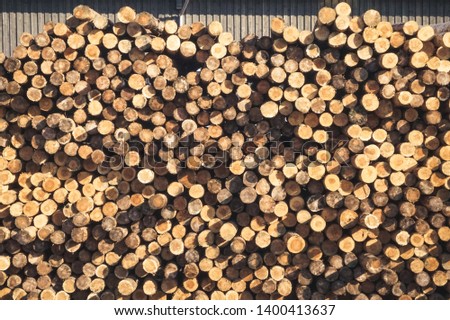 Chopped wood, woodpile, firewood - sawmill