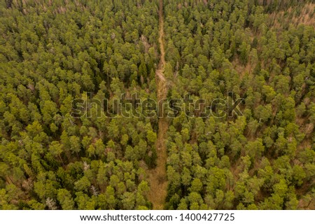 Drone view of small dirt road through an evergreen forest.