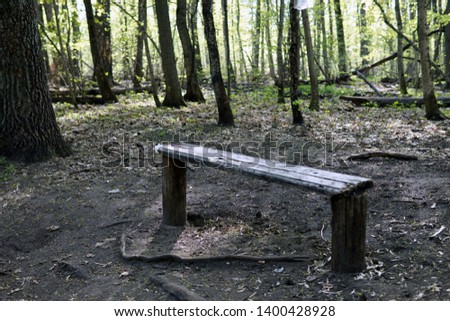 Empty wooden bench in the forest, a resting place