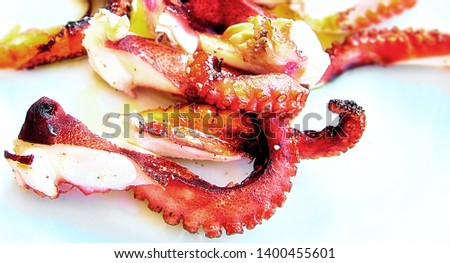 Contrast picture of cut pieces of fried oil octopus on white dish in Cyprus close up
