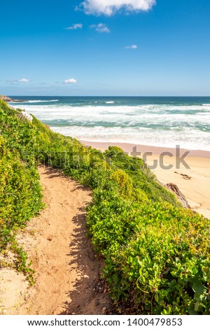 Portrait photo of a sandy walking trail going along a slope covered with lush bushes with a beach and the ocean with waves in the background on a sunny afternoon. Shot in Plettenberg Bay, Western Cape