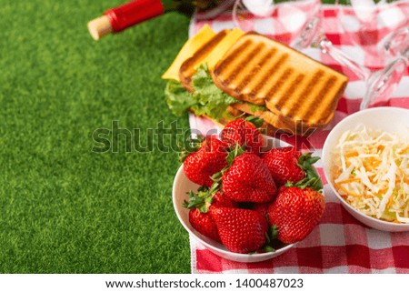 Picnic on the lawn with a veil, red wine with glasses, sandwiches, strawberries, and fresh salad