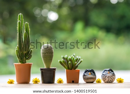 Beautiful  cactus  and  simulated  owl  on  wood  table  with  nature  blurry  background