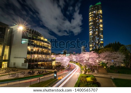 Beautiful view of Tokyo Midtown in sakura full blooms period in Tokyo, Japan.