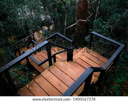 Loft style stair design at rain forest  Royalty-Free Stock Photo #1400567378