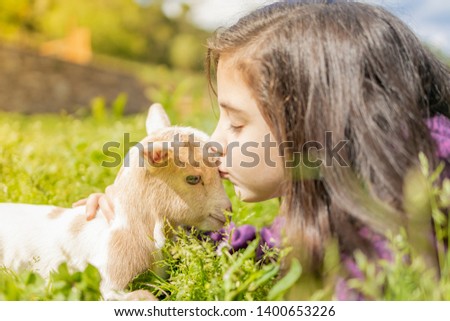 Little girl kissing a goat. Close up